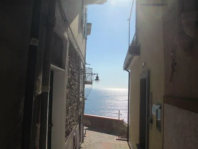 게스트하우스 라 리네아 다쿠아